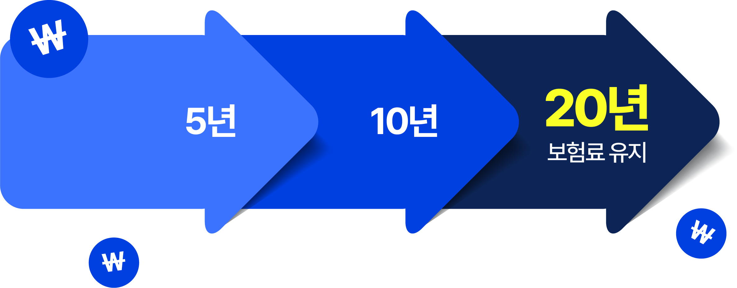 20년간 보험료 유지 그래프